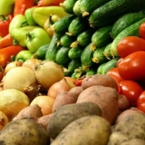 Kako uzgajati krastavce za prodaju: rastući poslovni plan